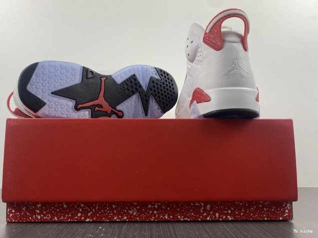 Reps TBK 6 CT8529-162 Jordan Retro Hare 0805